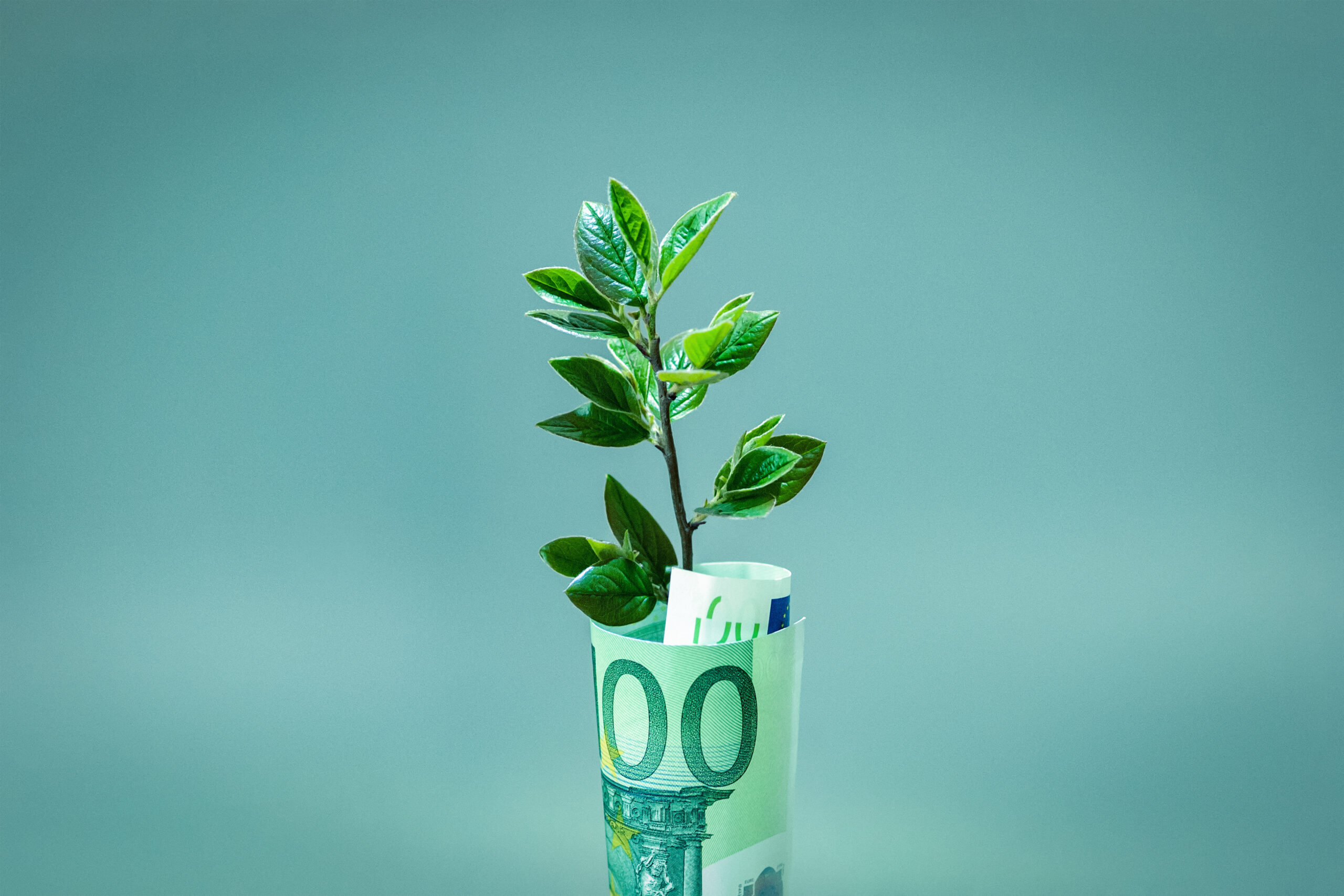 Plant growing in Euro bill for money growth and European economy concept