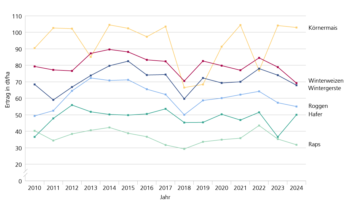 Entwicklung der Erträge für ausgewählte Getreidearten und Raps 2010-2024: Die Schwankungen im Ertragsniveau sind stark an die Witterung des jeweiligen Jahres gebunden. Das nasse Jahr 2018 hatte bei allen Kulturen zum deutlichen Einbruch geführt, ähnlich wie in 2024, mit Ausnahme von Hafer.