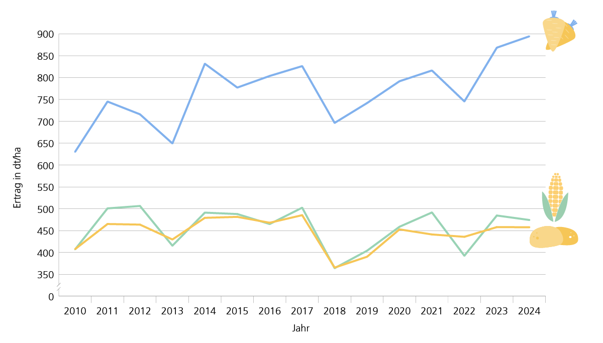 Entwicklung der Erträge für Kartoffeln, Zuckerrüben und Silomais in Niedersachsen 2010-2024: der trockene Sommer in 2022 wirkte sich auf die Erträge der Hackfrüchte und beim Mais ertragsmindernd aus. In 2024 kam die warm-feuchte Witterung lediglich dem Mais zu Gute.