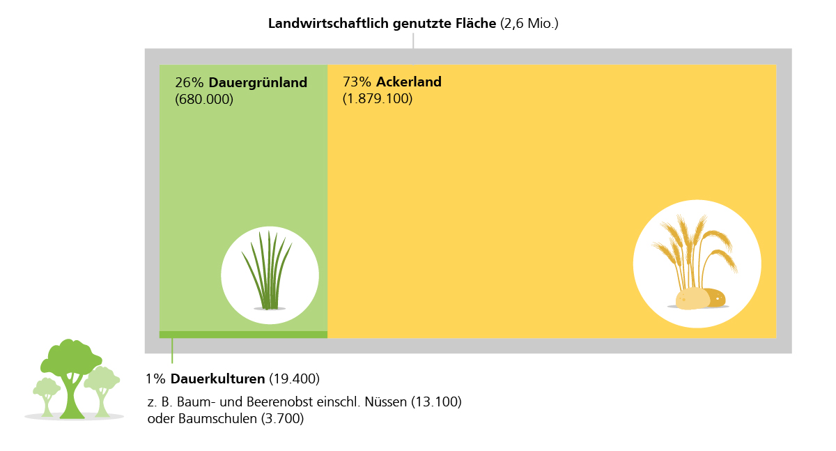 Die Fläche von 2,6 Mio. Hektar gliedert sich in 73% Ackerland, 26% Dauergrünland und 1% Dauerkulturen auf.