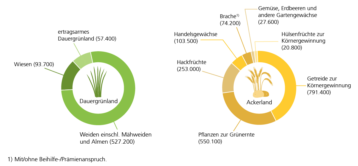 Weiden machen mit 527.200 Hektar den größten Teil des Dauergrünlands aus. Bei Ackerland dominiert Getreide zur Körnergewinnung mit 791.400 Hektar.