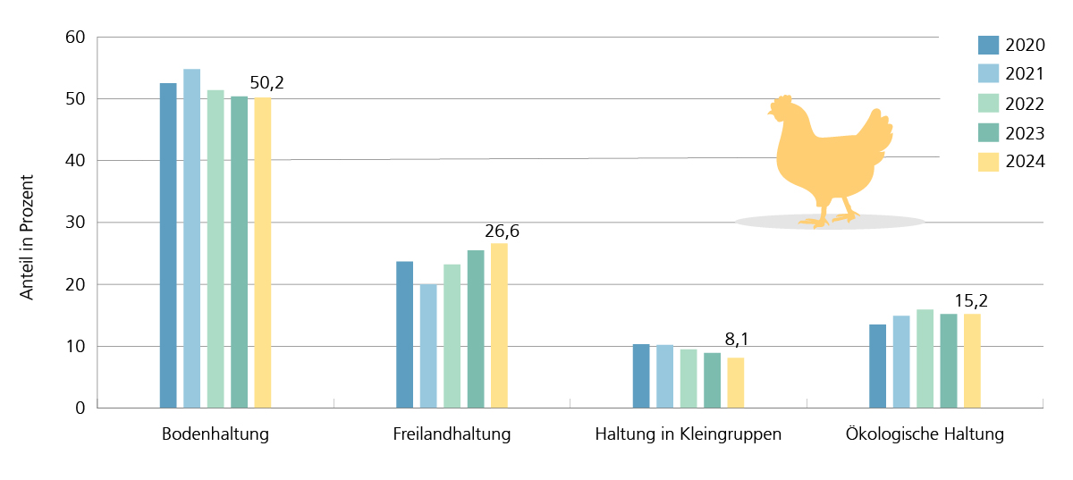 Anteil an allen Haltungsplätze nach Haltungsformen bei Legehennen seit 2019. Rückgang der Bodenhaltung zugunsten von Freilandhaltung und ökologischer Haltung.
