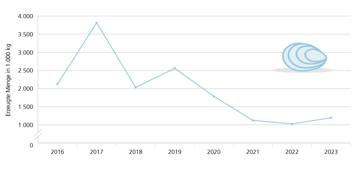 Starker Rückgang der Muschelerzeugung zwischen 2015 und 2022. Von knapp 4000 Tonnen auf rund 1000 Tonnen. Leichte Erholung im Jahr 2023 mit einem Plus von 16,6%.