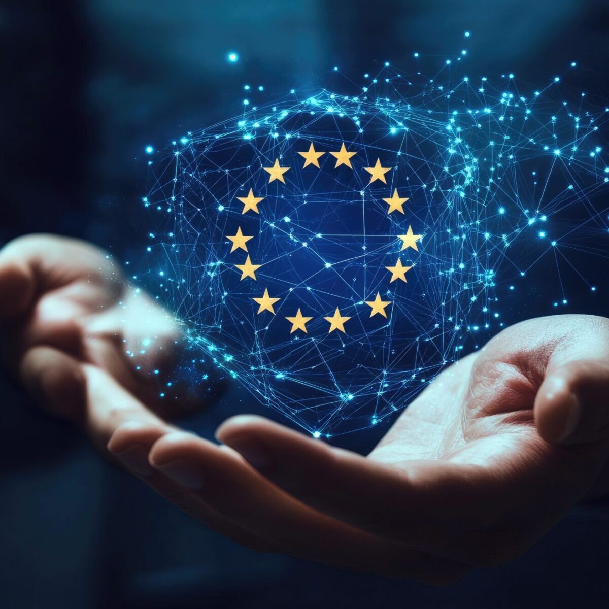 Digitalisierung in Europa 2025