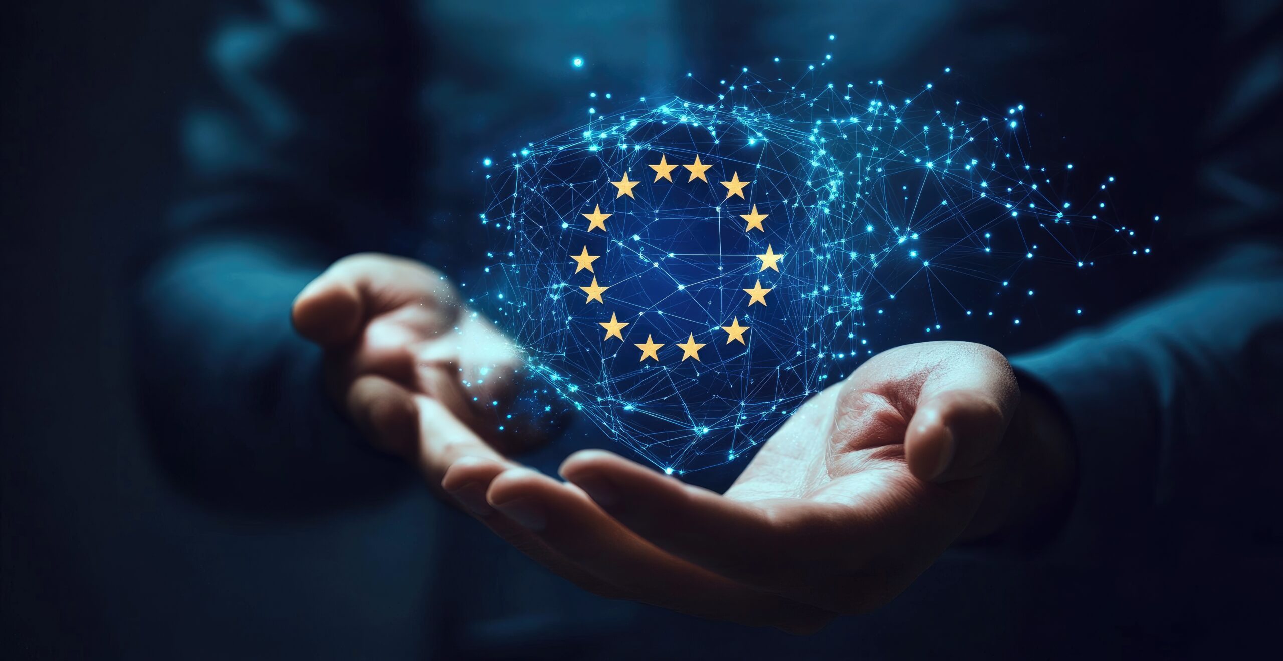 Digitalisierung in Europa 2025