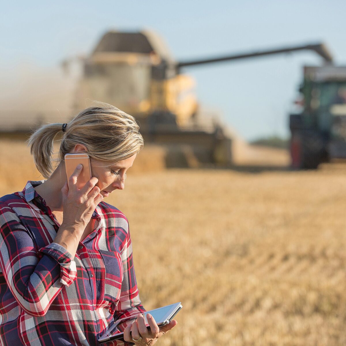 Erntestatistik mit Satellitendaten – Das Projekt FernEE 2.0