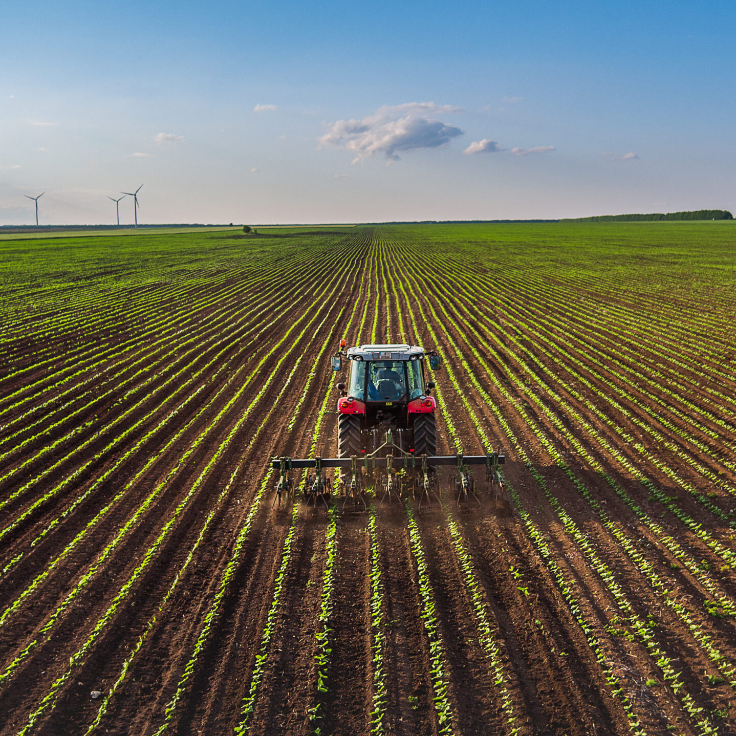 Traktor auf Feld.