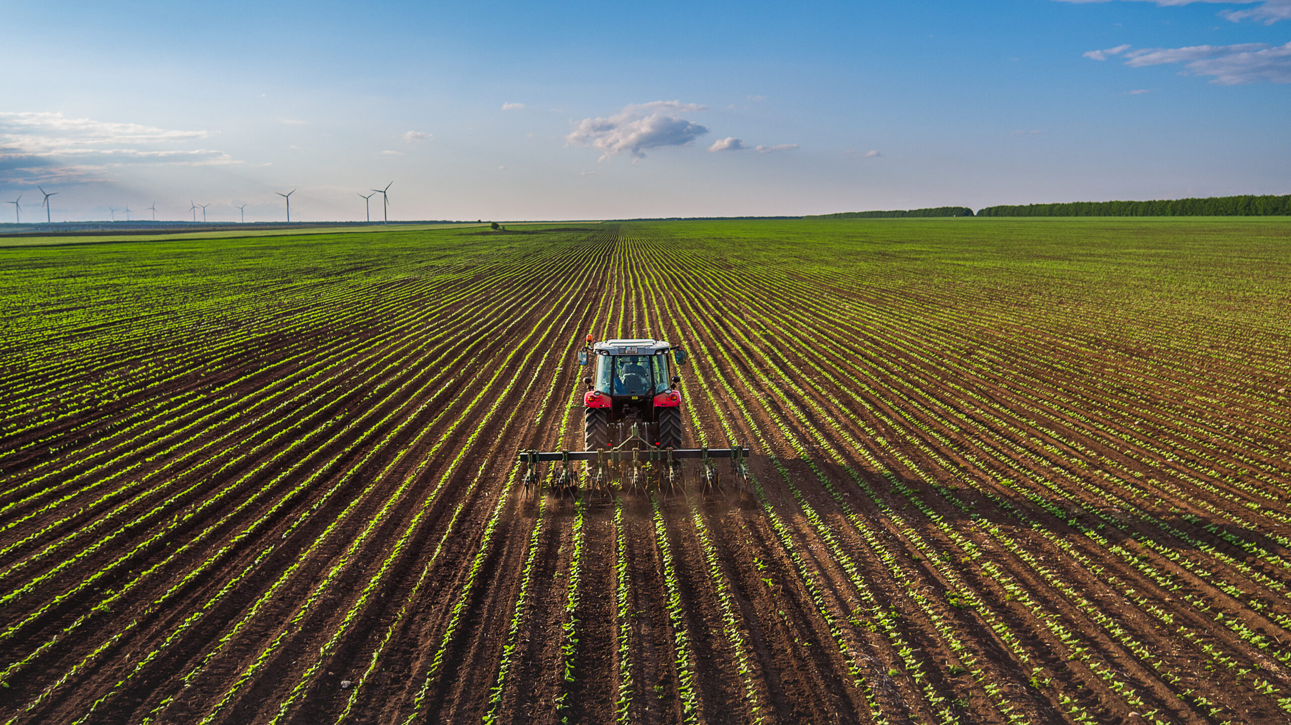 Das Erntejahr 2025 in Niedersachsen